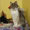 Отзыв от Кира Сидорова